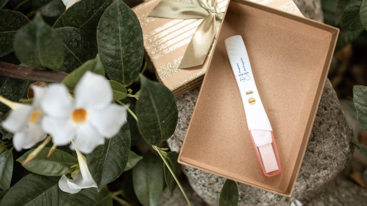 Prenatal Vitamins