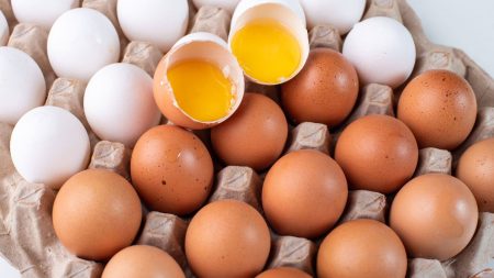 makanan yang mengandung vitamin d